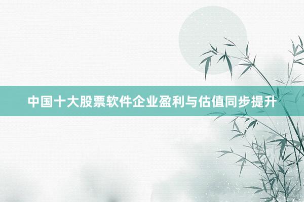 中国十大股票软件企业盈利与估值同步提升