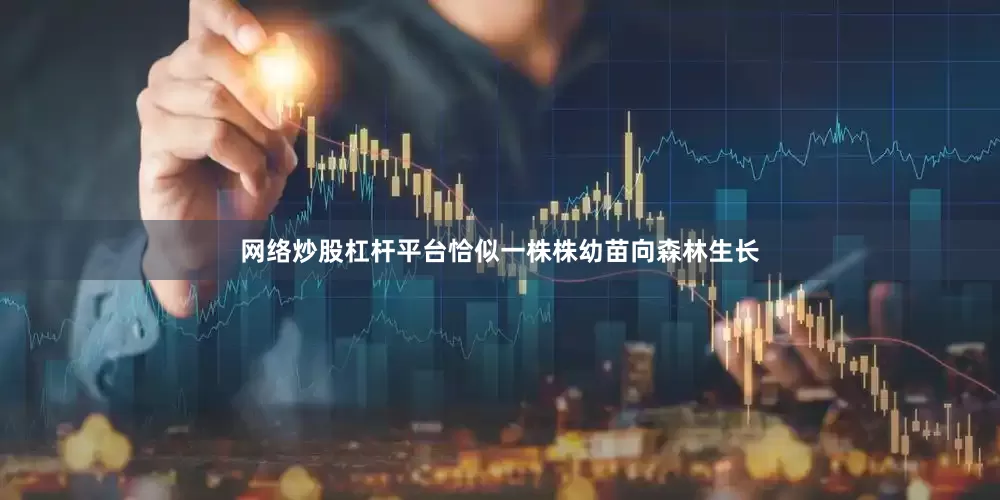 网络炒股杠杆平台恰似一株株幼苗向森林生长