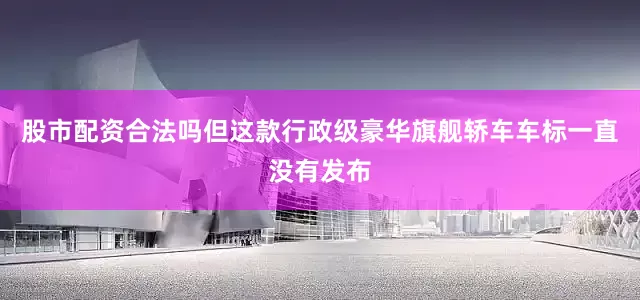 股市配资合法吗但这款行政级豪华旗舰轿车车标一直没有发布