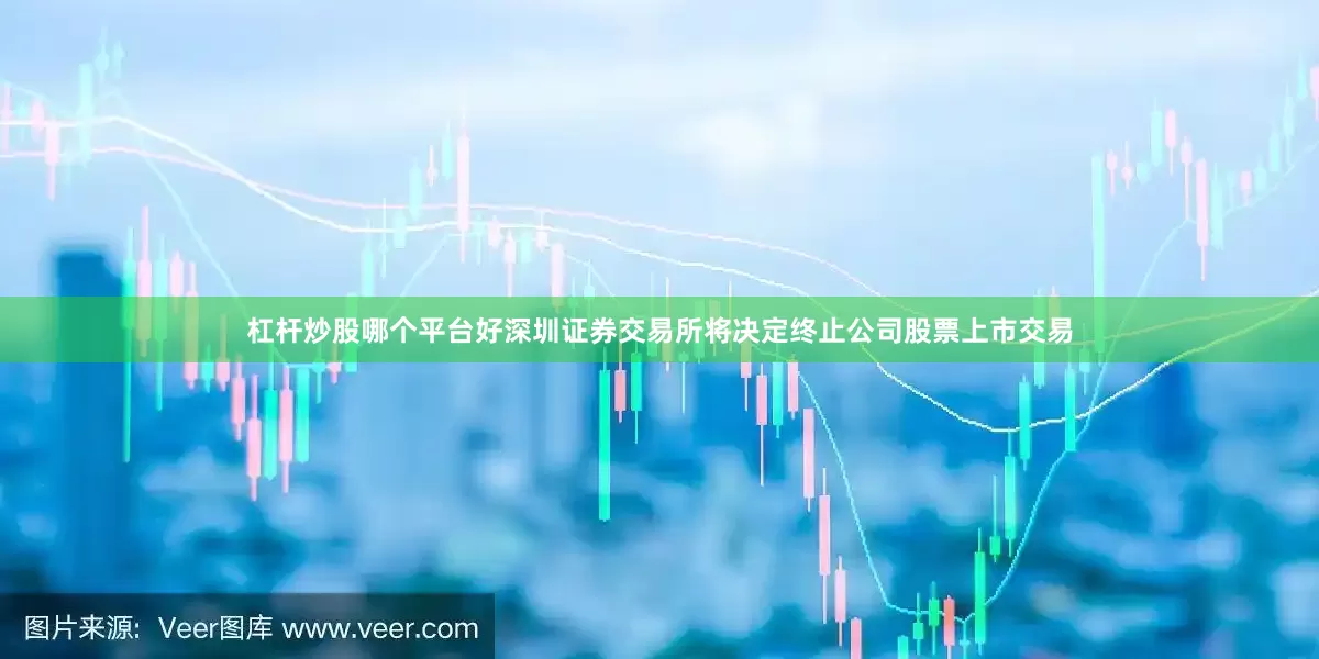 杠杆炒股哪个平台好深圳证券交易所将决定终止公司股票上市交易