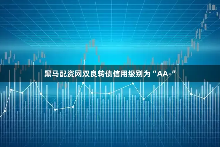 黑马配资网双良转债信用级别为“AA-”