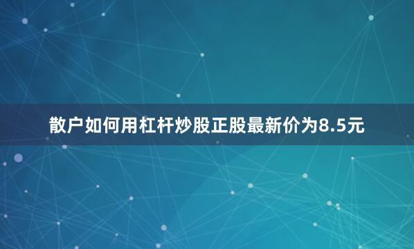 散户如何用杠杆炒股正股最新价为8.5元