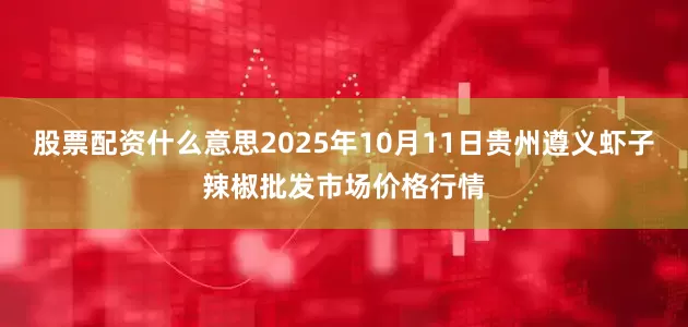 股票配资什么意思2025年10月11日贵州遵义虾子辣椒批发市场价格行情
